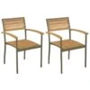 VidaXL Tuinstoelen Stapelbaar 2 St Massief Acaciahout En Staal