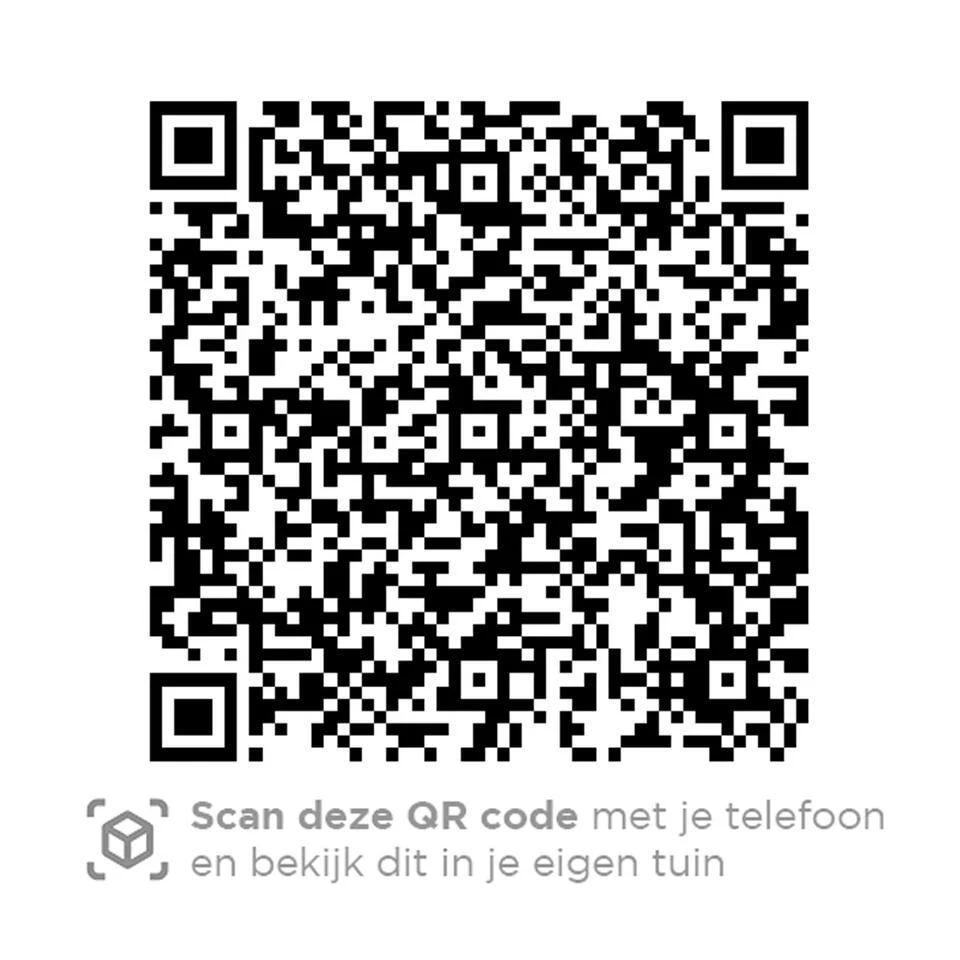 4 Seasons Outdoor Bernini Tuinstoel - Platinum 3 4 Seasons Outdoor Bernini Tuinstoel - Platinum - Afbeelding 3