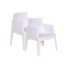 Garden Impressions Tuinstoel Box The Original Wit - 2 Stuks