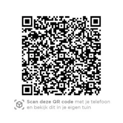 4 Seasons Accor Loungestoel - Antraciet 6 4 Seasons Accor Loungestoel - Antraciet -Tuinmeubelwinkel 1000042588 0103