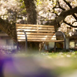 Tectake - Tuinbank - 123x 64x 82 Cm - Hout -Tuinmeubelwinkel 1000078026 0102