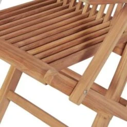 VidaXL Tuinstoelen Inklapbaar 2 St Massief Teakhout -Tuinmeubelwinkel 1381912756 0103