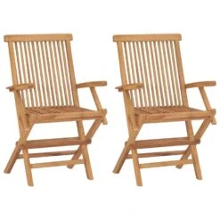 VidaXL Tuinstoelen Inklapbaar 2 St Massief Teakhout